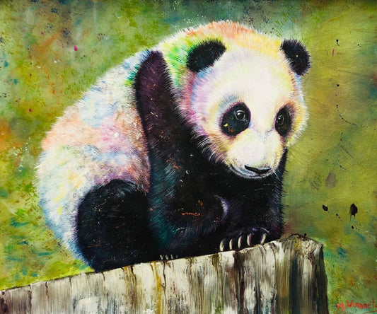 Baby panda