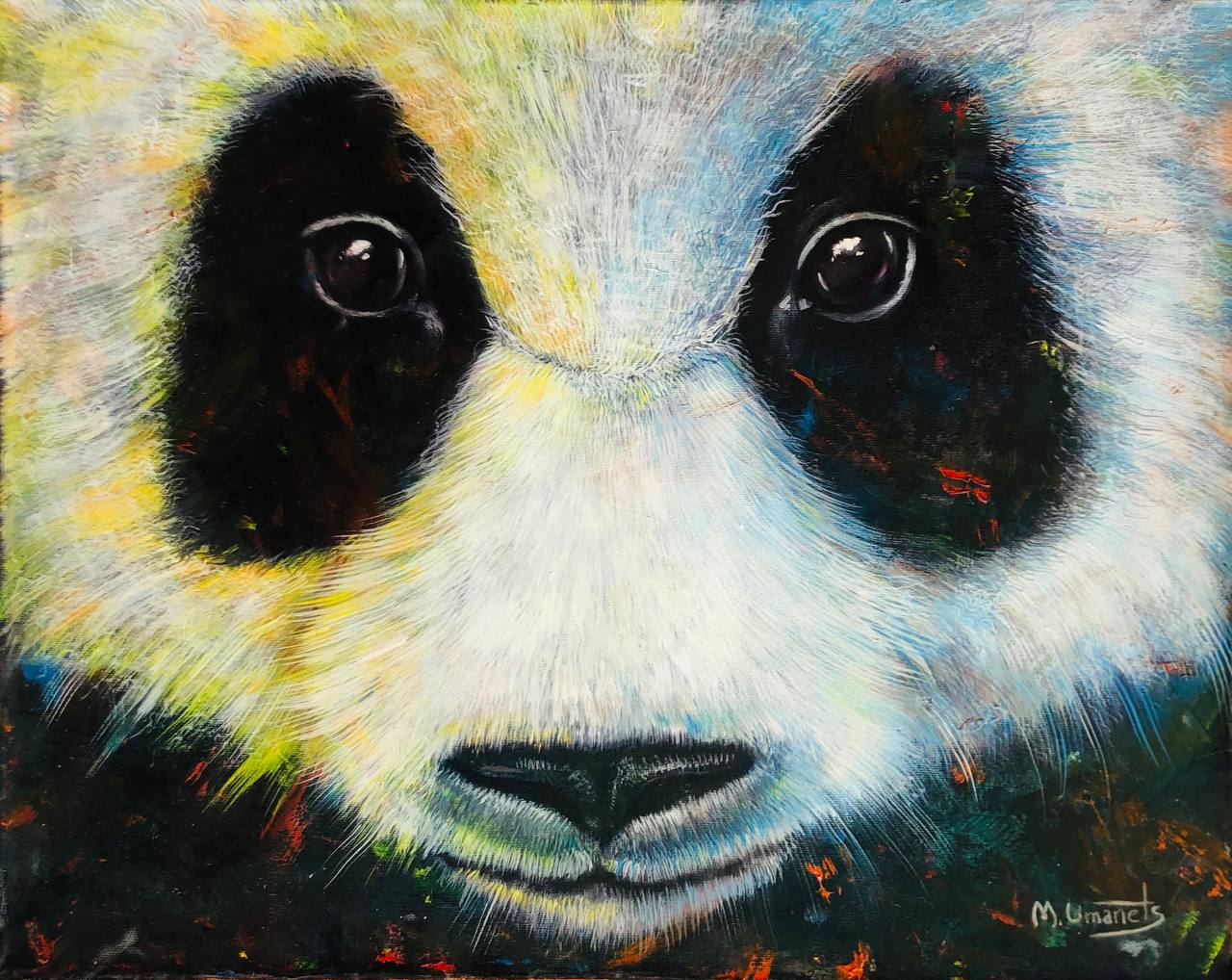 Panda