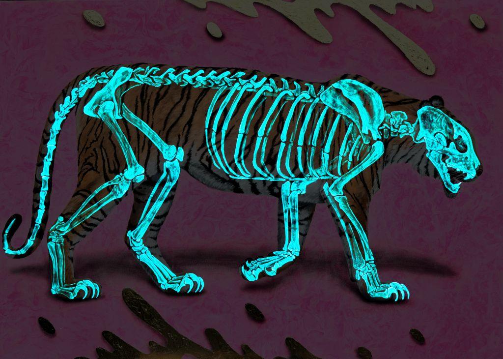 Tiger. Glow-in-the-dark painting